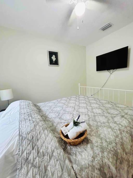 Vintage Family Scape + Heated Pool&Discount Tampa Exterior foto